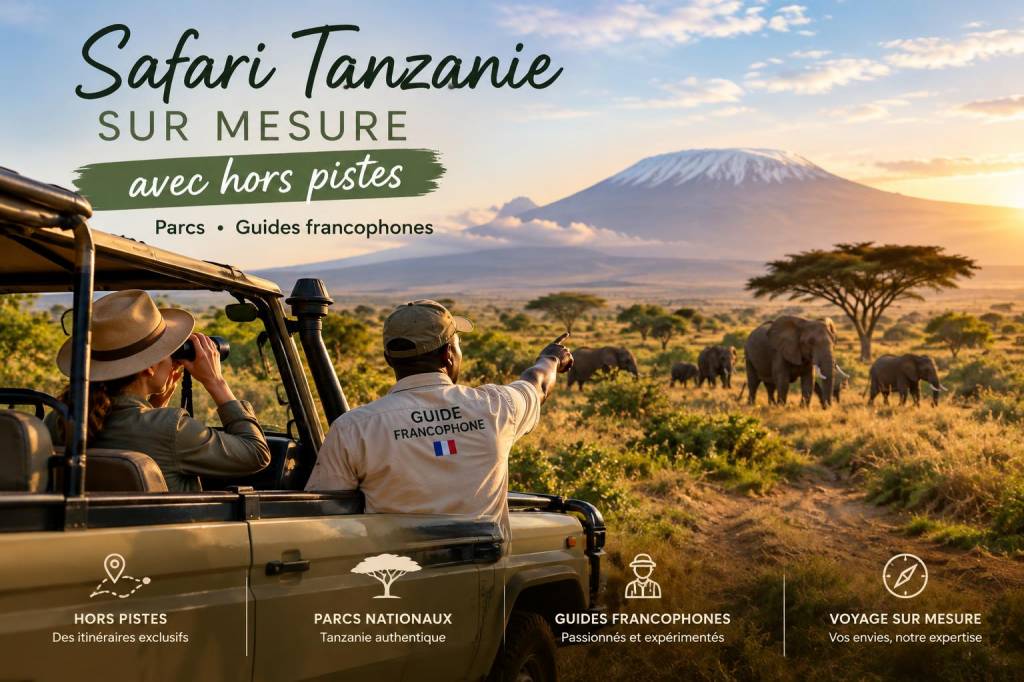Safari tanzanie sur mesure avec hors pistes — parcs, guides francophones