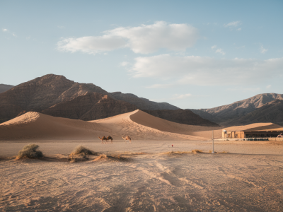 Safari en namibie : comment choisir entre désert, faune et lodges